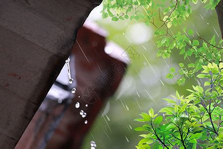農曆三月 下雨图片